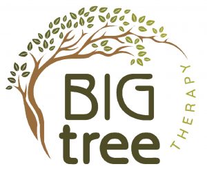 Big Tree_Logo-01 Tiny